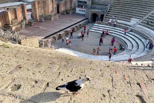 Tour image 5