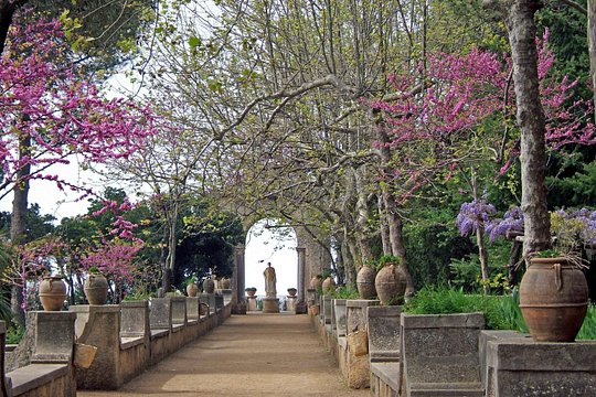 Tour image 11