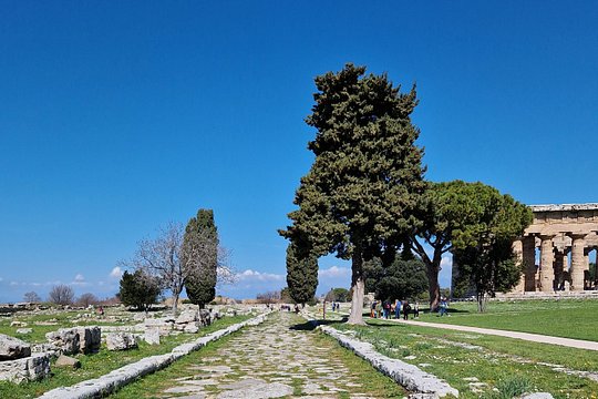 Tour image 5