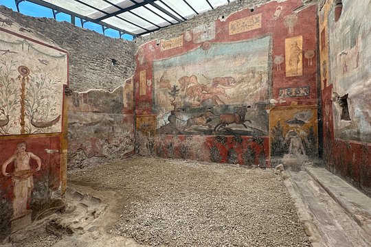 Tour image 8